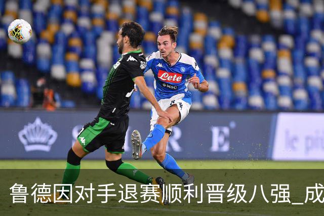 鲁德因对手退赛顺利晋级八强 成就全满贯目标！